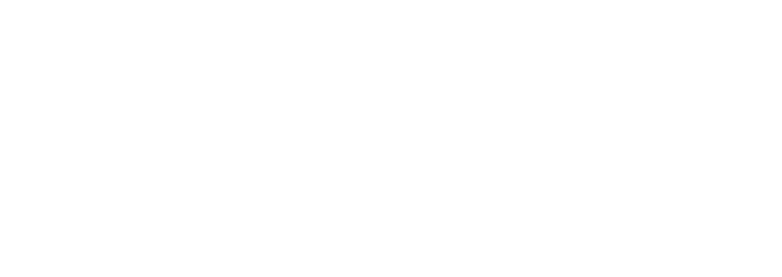 Pars Software